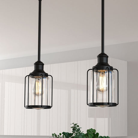 1 - Light Birdcage Shape Pendant Light, Matte Black Finish, Clear Glass Shade, E26 Base, UL Listed - BUILDMYPLACE