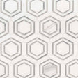 11" X 13" Georama Grigio Polished White Marble Hexagon Floor and Wall Mosaic Tile (9.9SQ FT/CTN) - BUILDMYPLACE