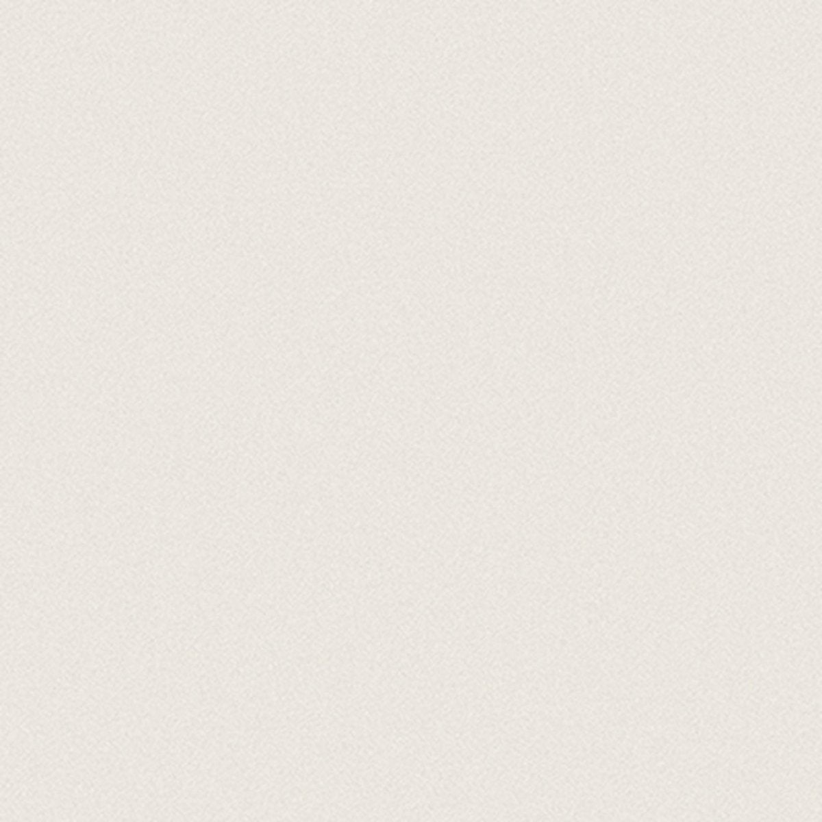 12 X 12 In Prima Warm White Polished Rectified Unglazed Porcelain - BUILDMYPLACE