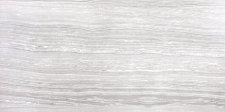 12 x 24 in. Eramosa Ice Polished Rectified Glazed Porcelain Tile - BUILDMYPLACE