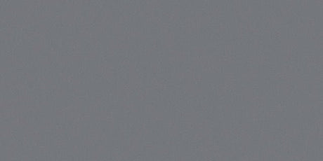 12 x 24 in Prima Mica Matte Rectified Unglazed Porcelain Tile - BUILDMYPLACE