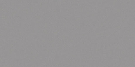 12 X 24 In Prima Mica/Smoke Matte Rectified Unglazed Porcelain - BUILDMYPLACE