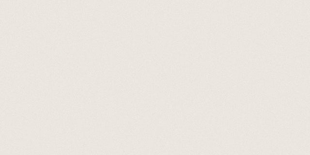 12 X 24 In Prima Warm White Matte Rectified Unglazed Porcelain - BUILDMYPLACE