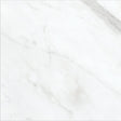 13 X 13 In Altezza Carrara Matte Pressed Glazed Porcelain - BUILDMYPLACE