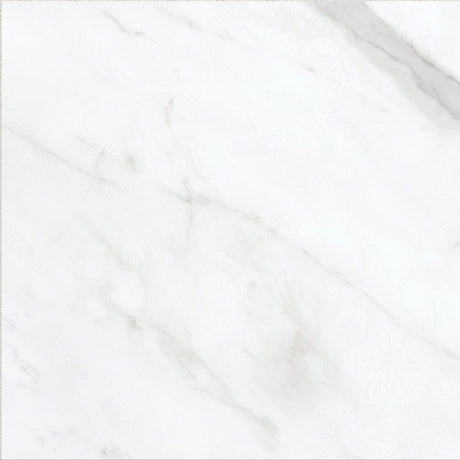 13 X 13 In Altezza Carrara Matte Pressed Glazed Porcelain - BUILDMYPLACE