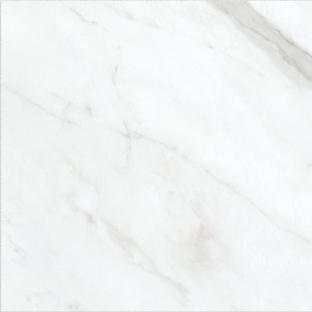 13 X 13 In Altezza Carrara Matte Pressed Glazed Porcelain - BUILDMYPLACE