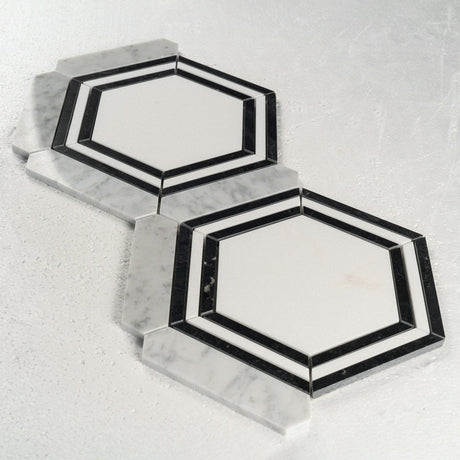14 X 16 in. Carrara picket & Black Line Thassos Hexagon Waterjet Marble Mosaic Tile - BUILDMYPLACE