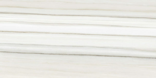 16 X 32 In Mayfair Zebrino Matte Rectified Glazed Porcelain - BUILDMYPLACE