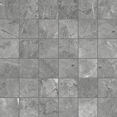 2 X 2 In Regency Carbon Matte Glazed Porcelain Mosaic - BUILDMYPLACE