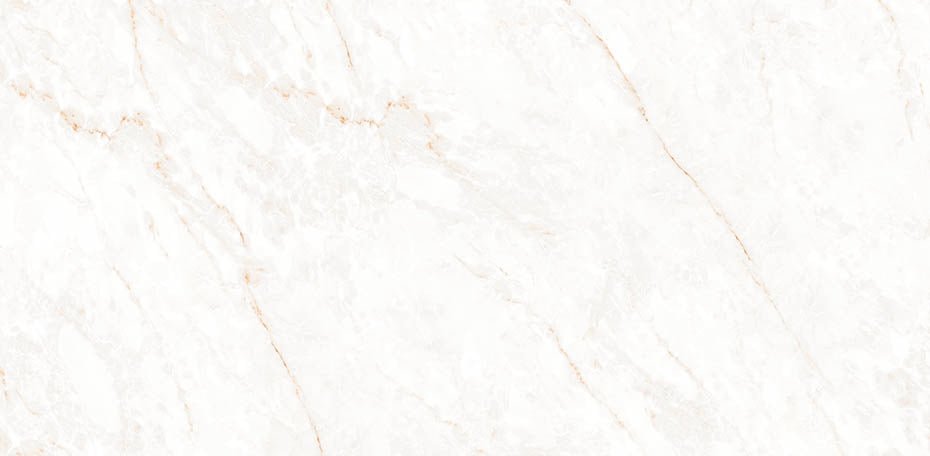 24 In. X 48 In. Calacatta Glam Polished - Porcelain Wall & Floor Tile (15.50 Sqft/Case) - BUILDMYPLACE