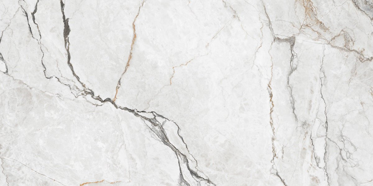 24 In. X 48 In. Orlando White Polished - Porcelain - Wall & Floor Tile (15.50 Sqft/Case) - BUILDMYPLACE
