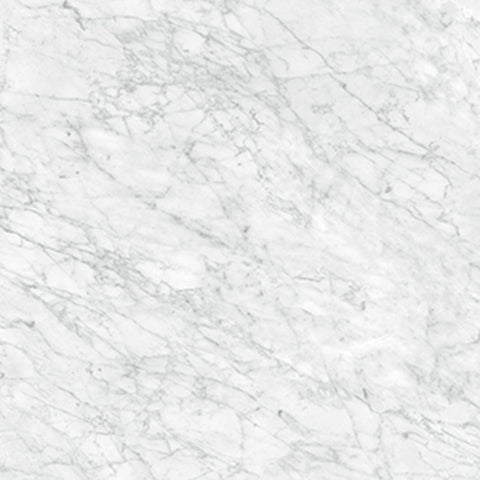 24 X 24 In La Marca Carrara Gioia Polished Rectified Glazed Porcelain