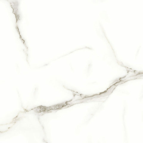 24 X 24 In Mayfair Calacatta Oro Matte Rectified Glazed Porcelain