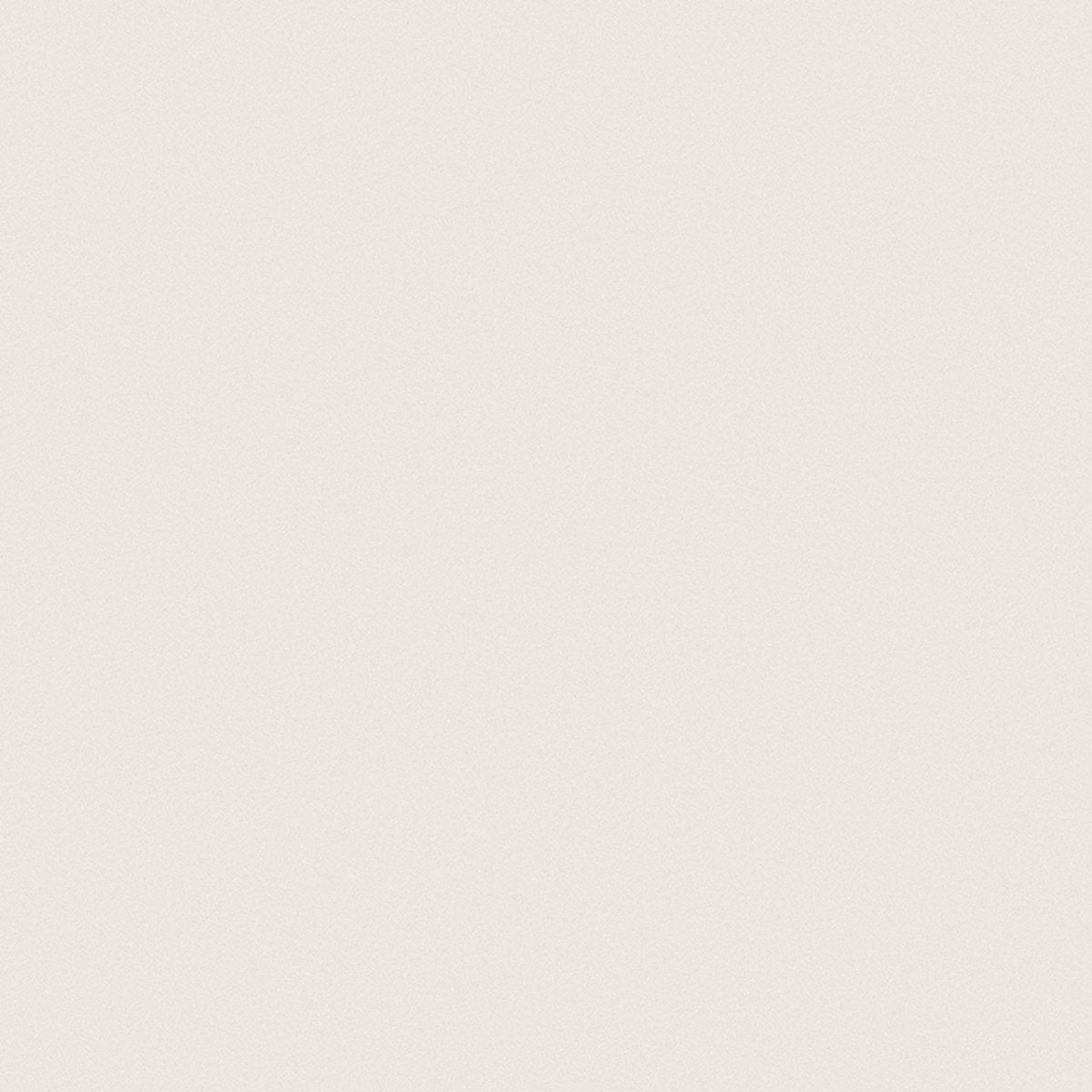 24 X 24 In Prima Warm White Polished Rectified Unglazed Porcelain - BUILDMYPLACE