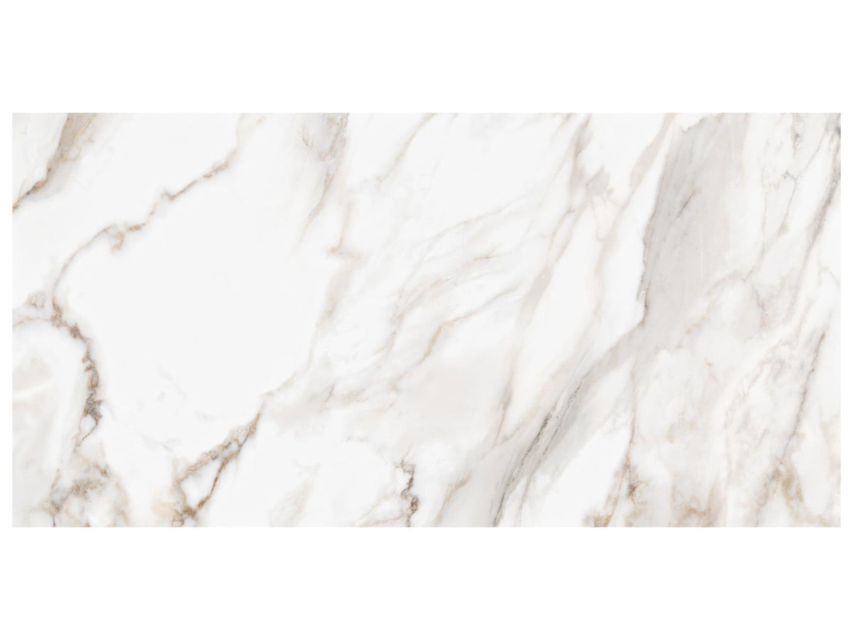 24 x 48 in Majesto Calacatta Oro Honed Rectified Colorsync Porcelain Tile