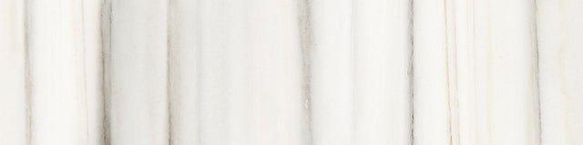 3 X 12 In Mayfair Zebrino Matte Glazed Porcelain Bullnose - BUILDMYPLACE