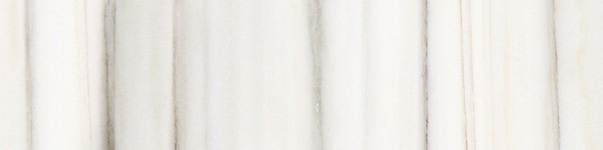 3 X 12 In Mayfair Zebrino Polished Glazed Porcelain Bullnose - BUILDMYPLACE