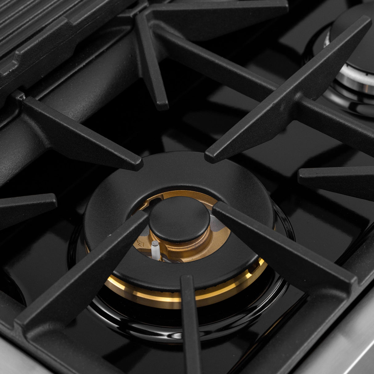 48 in. 6.7 cu. ft. 8 Burners Dual Fuel Range for Natural Gas in Stainless Steel with Kucht Horus Thermostat