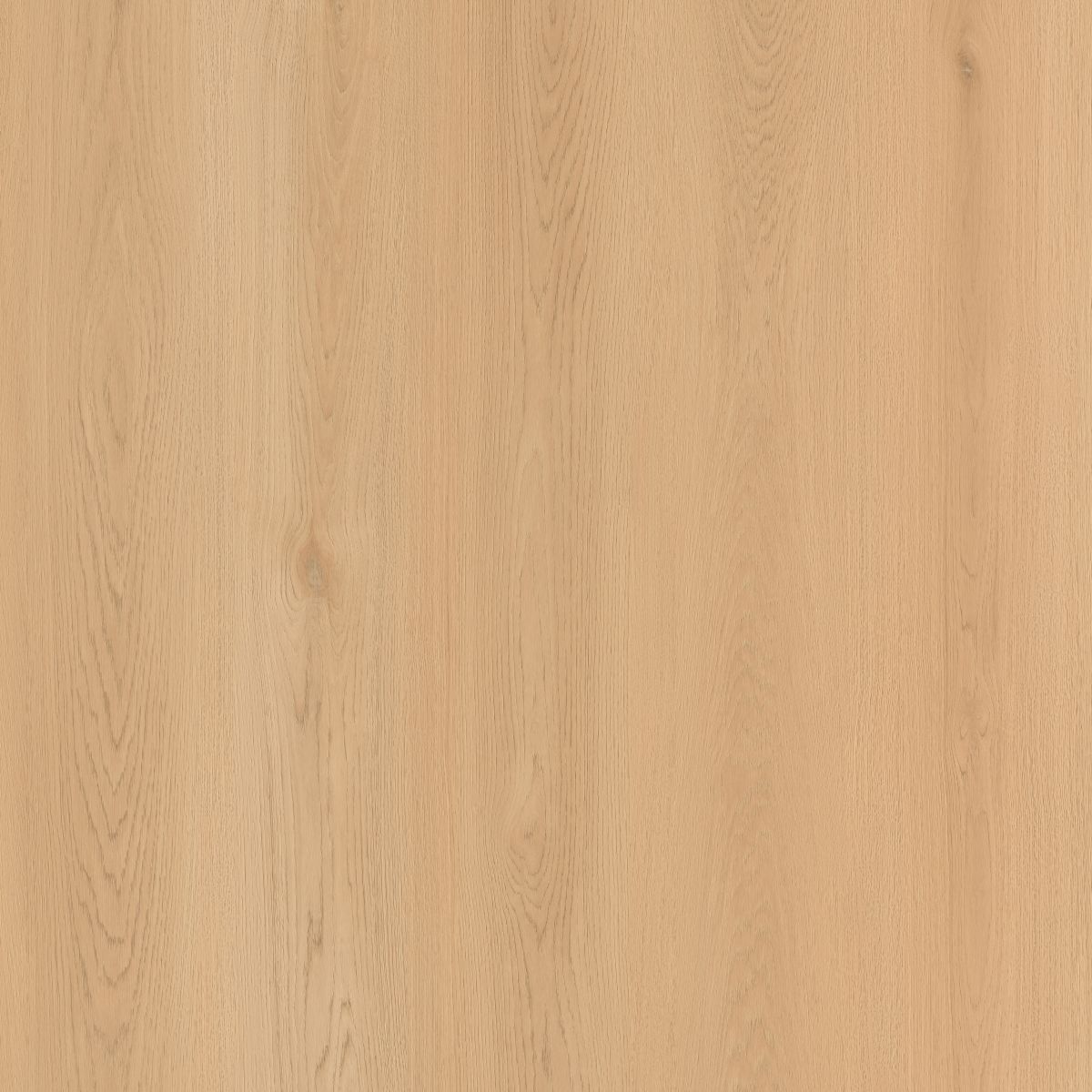 WPC Luxury Vinyl Flooring, Click Lock Floating, Seashell Radiance, 9.5" x 84" x 10mm, 30 mil Wear Layer - SEASIDE SUMMIT Collection (32.41 SQ FT/ CTN)
