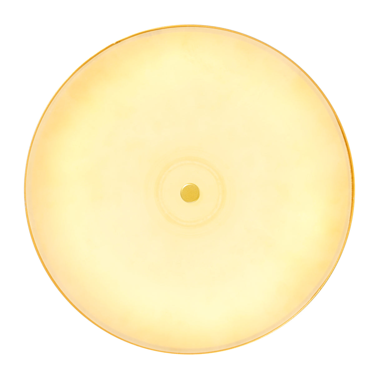 Saleen LED Mini Pendant With Sun Gold & Black Finish