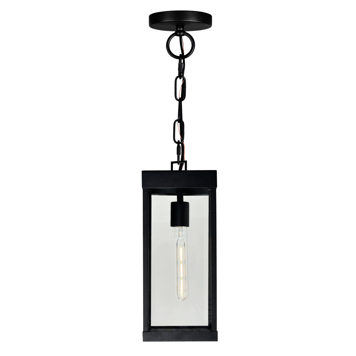 Windsor 1 Light Black Outdoor Pendant