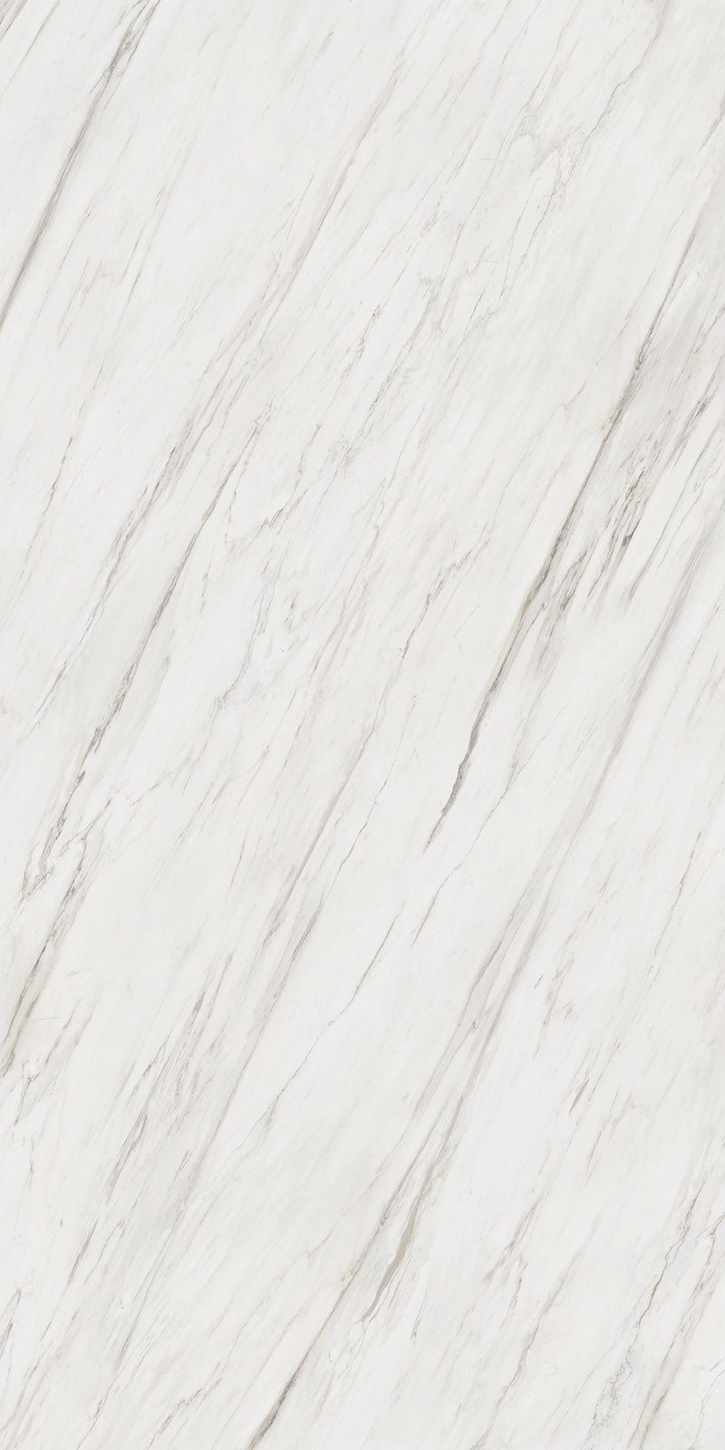 63 x 126 in Majesto Calacatta Cremo Honed 6 mm, full slab face