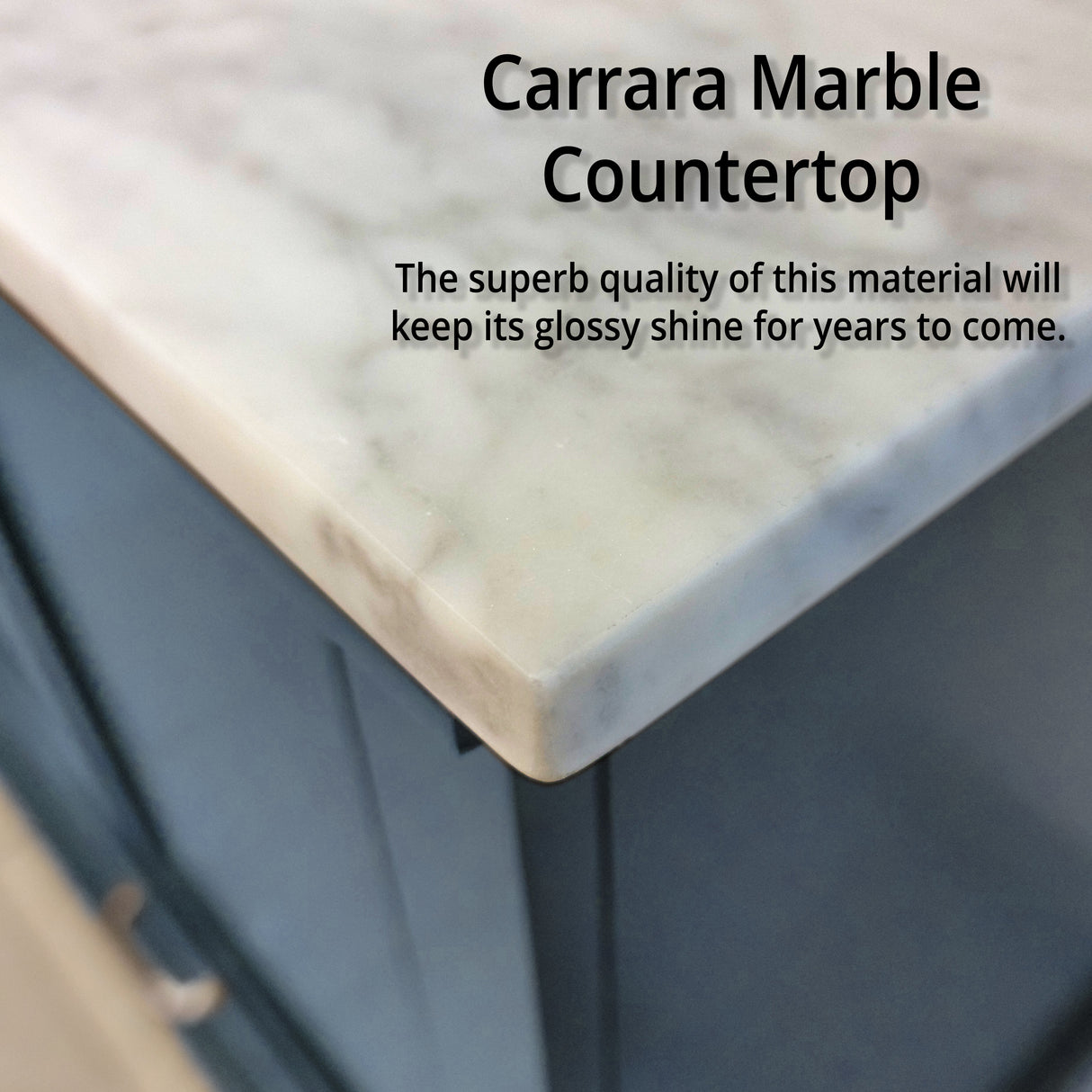 Dukes 48 in. W x 22 in. D Navy Blue Double Bath Vanity