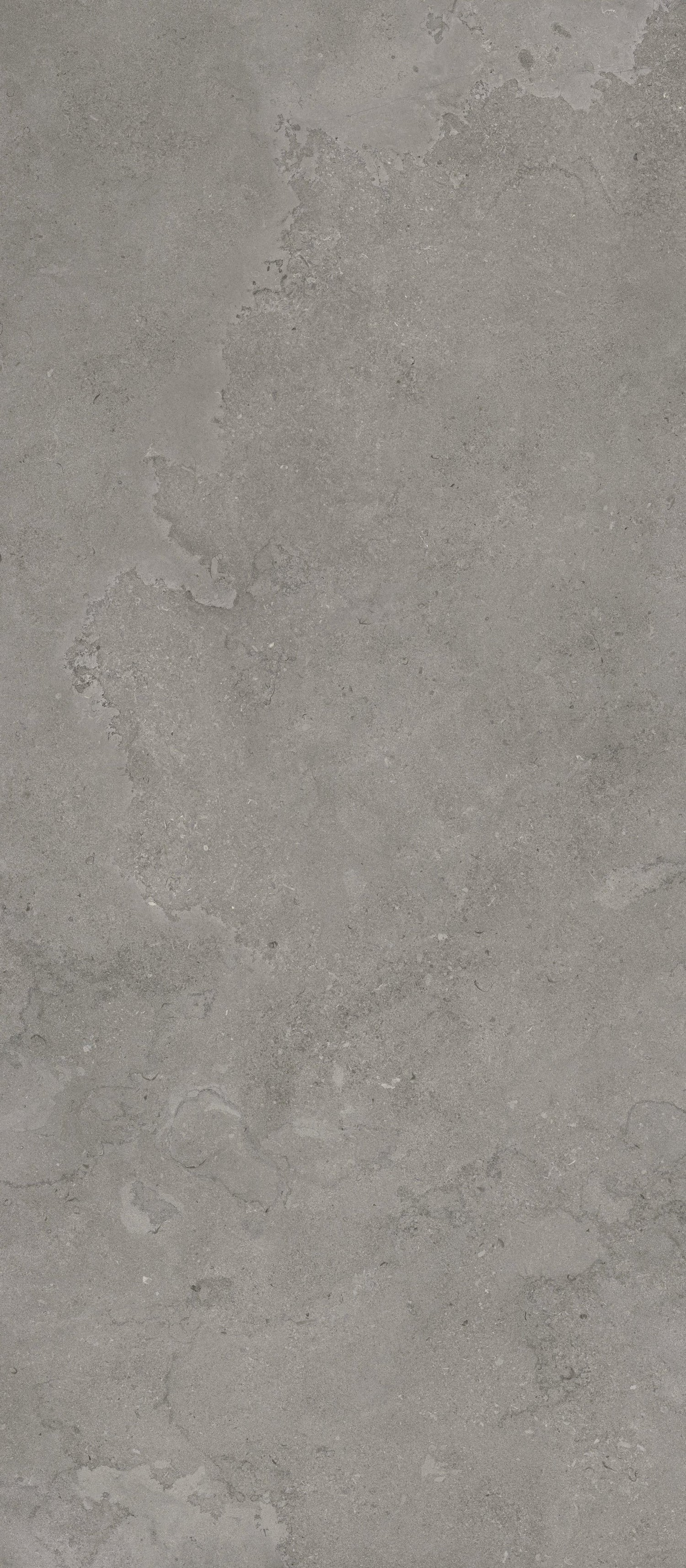 Ecostone 48 X 110 Matte Porcelain Tile in Cross-Cut Fossil