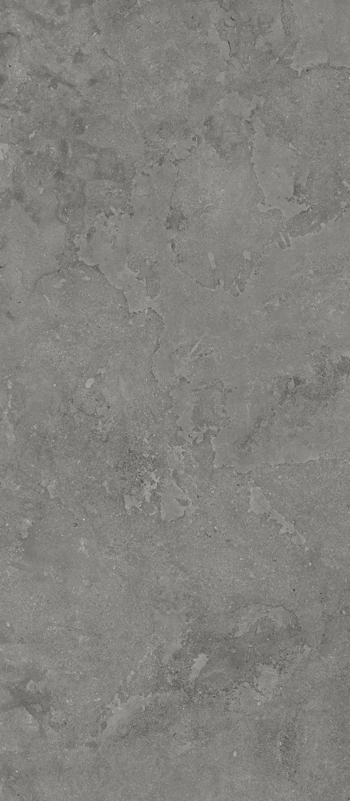 Ecostone 48 X 110 Matte Porcelain Tile in Cross-Cut Pumice