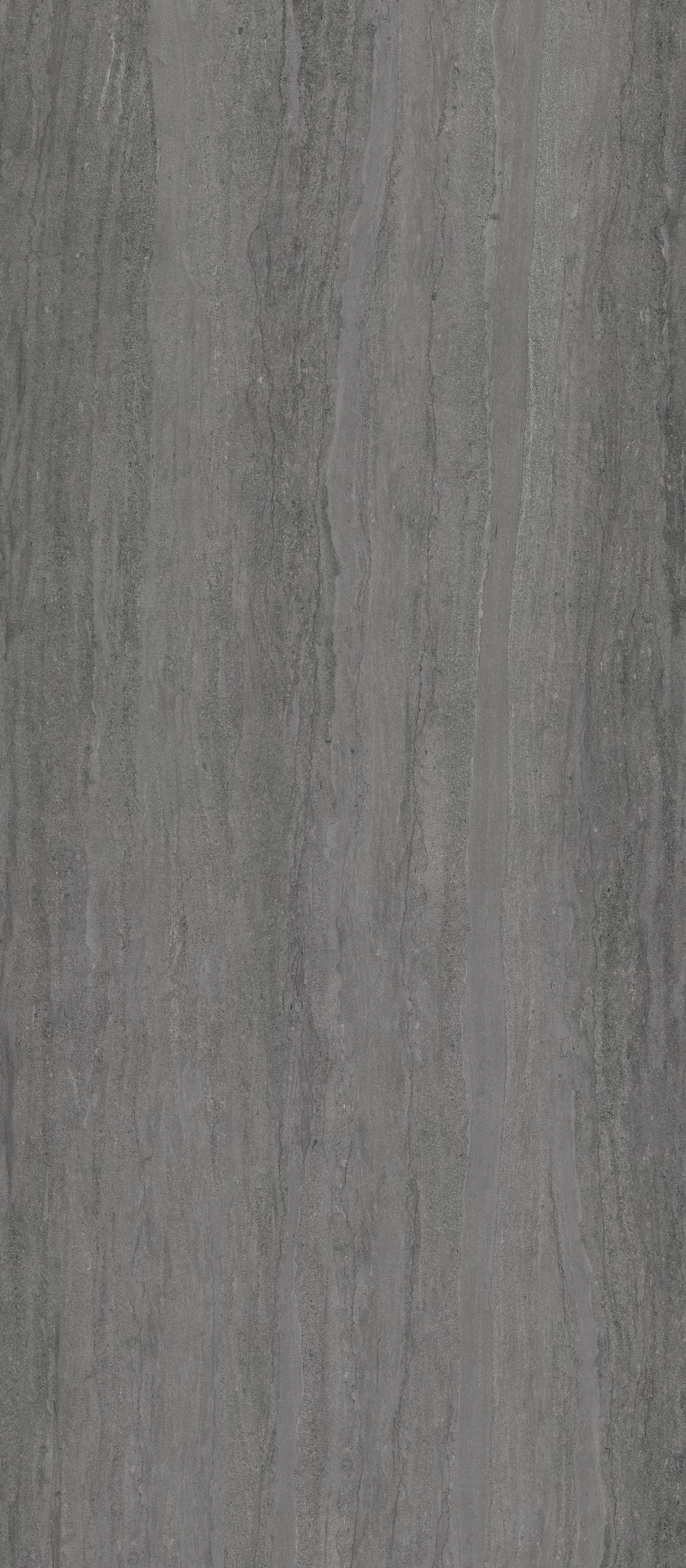 Ecostone 48 X 110 Matte Porcelain Tile in Vein-Cut Pumice