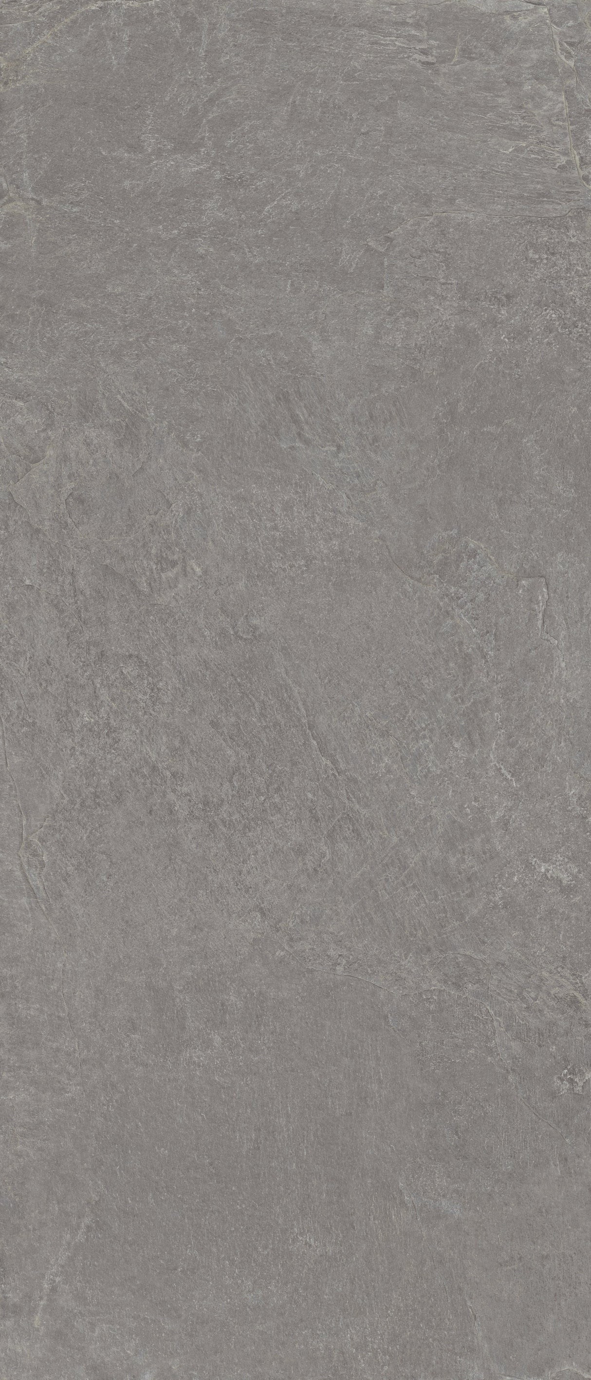 Farmhouse Living 48 X 110 Matte Porcelain Tile in Millstone