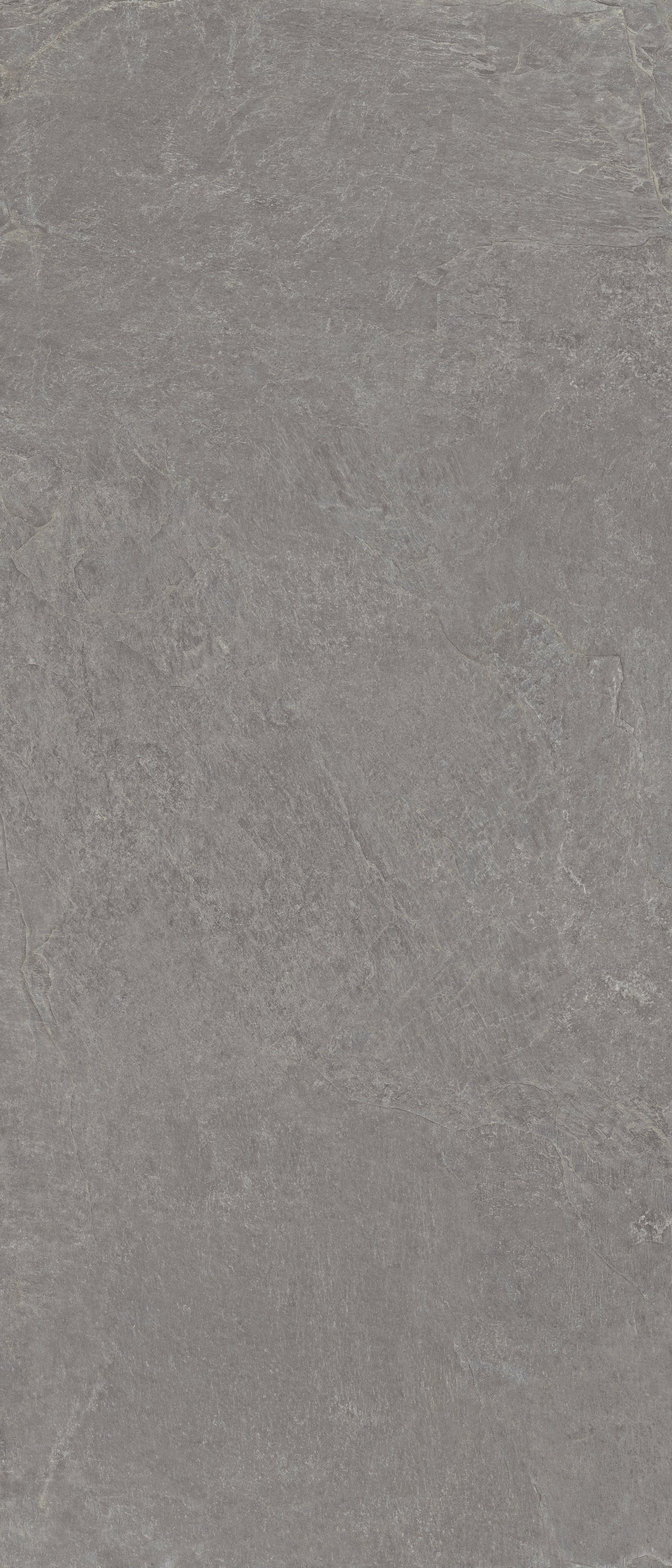 Farmhouse Living 48 X 110 Matte Porcelain Tile in Millstone