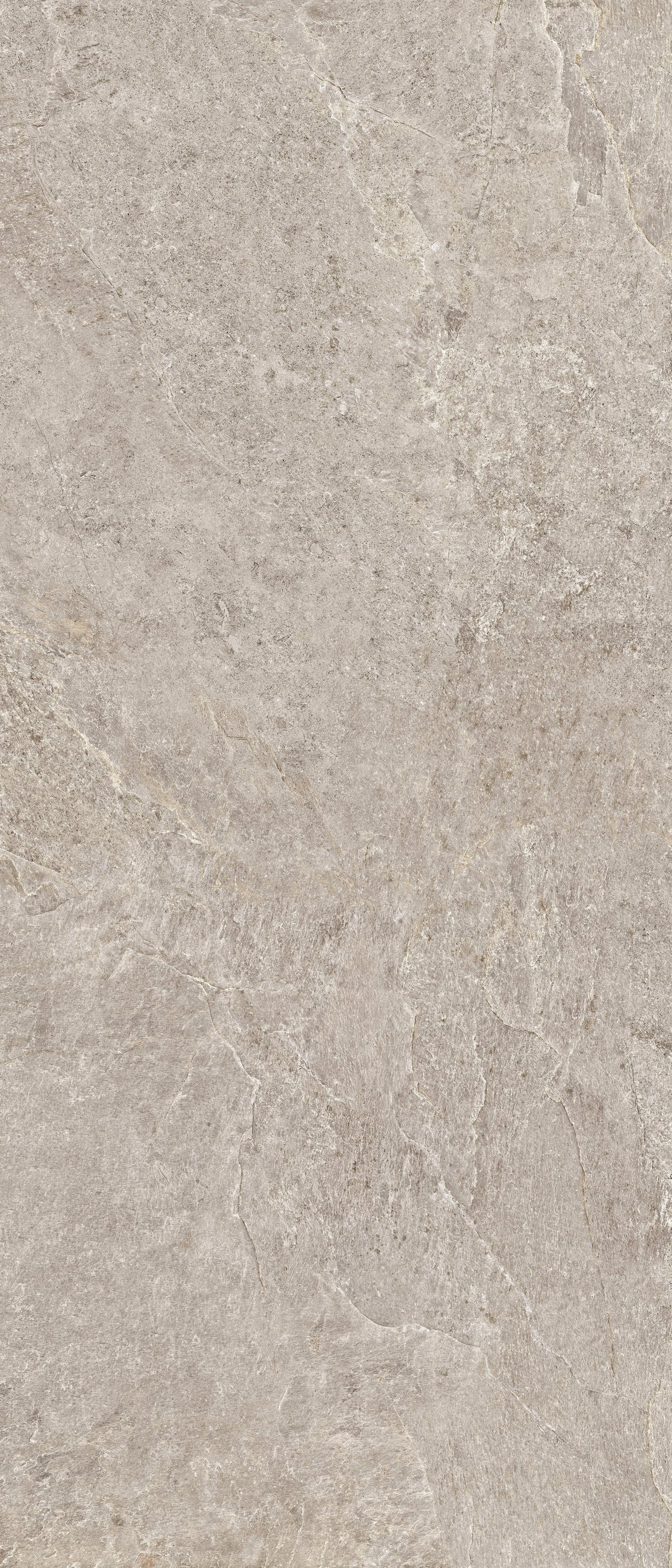 Farmhouse Living 48 X 110 Matte Porcelain Tile in Pewter
