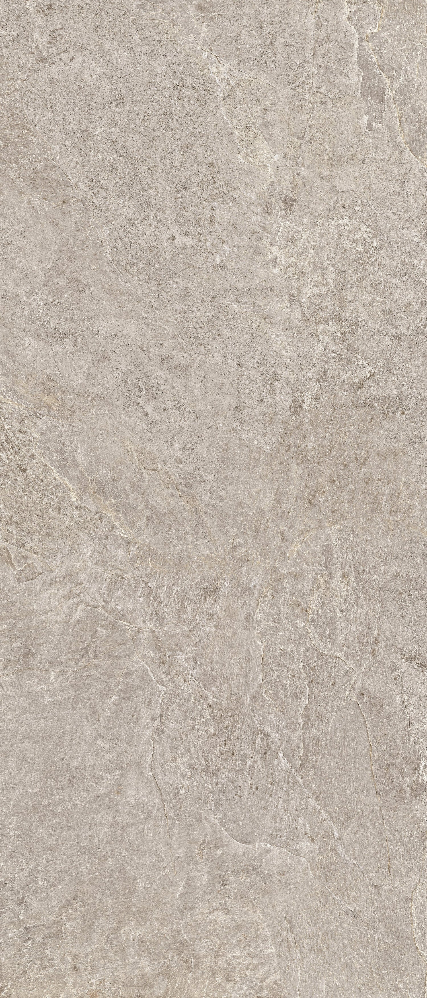 Farmhouse Living 48 X 110 Matte Porcelain Tile in Pewter