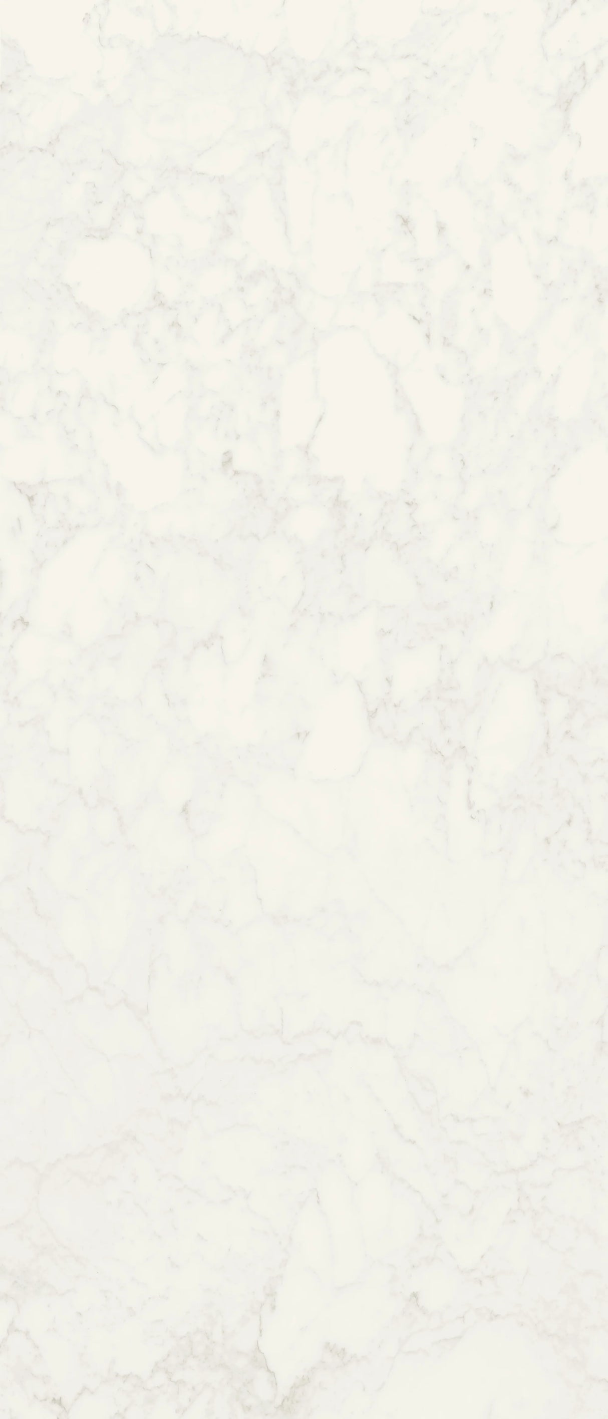 Jem 48 X 110 Polished Porcelain Tile in Adagio White