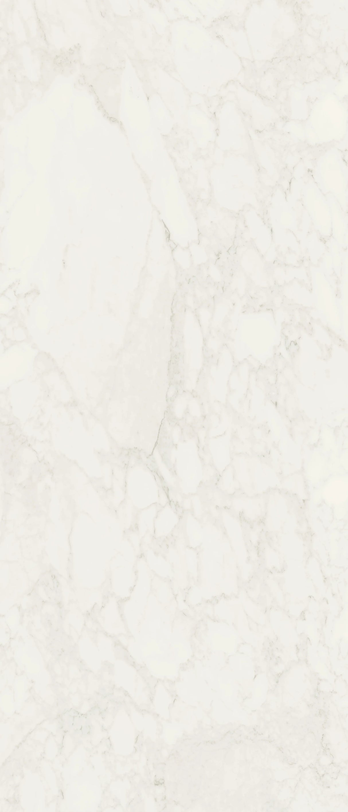 Jem 48 X 110 Matte Porcelain Tile in Adagio White