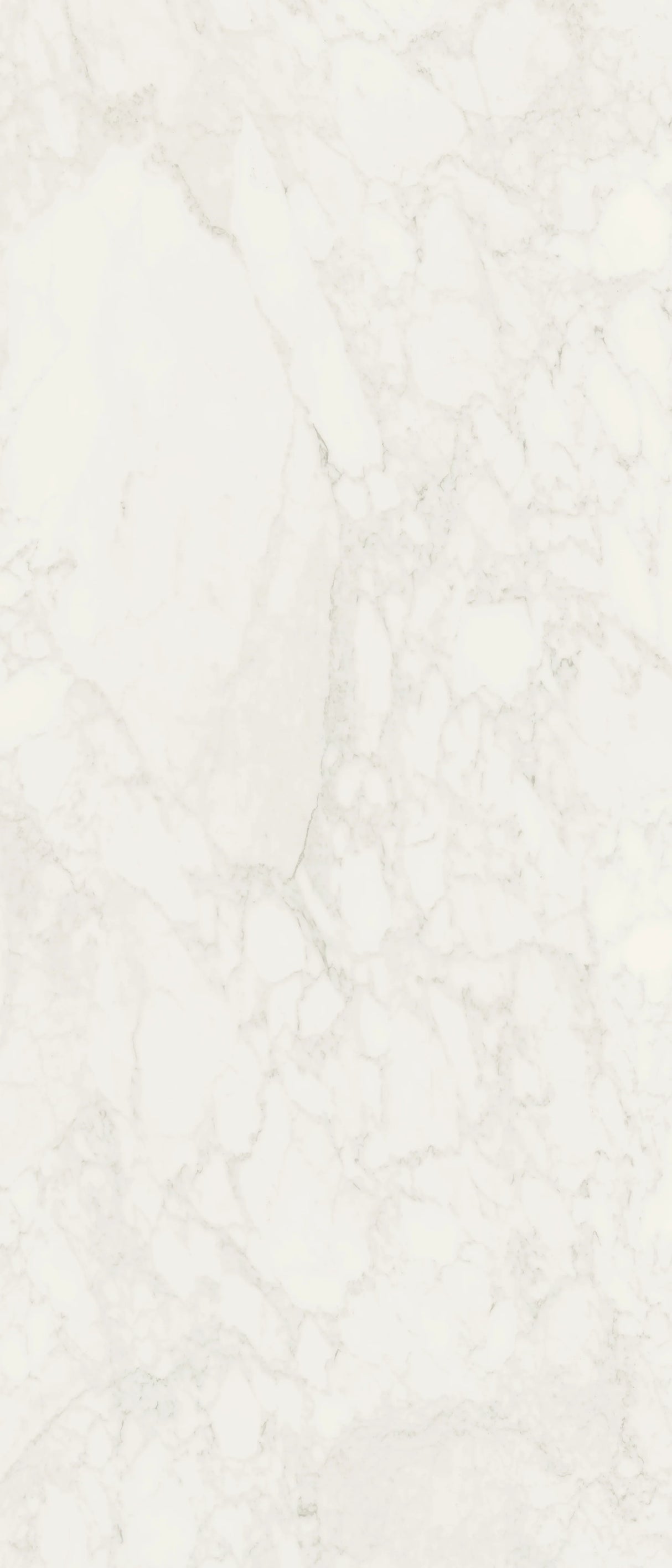 Jem 48 X 110 Polished Porcelain Tile in Adagio White