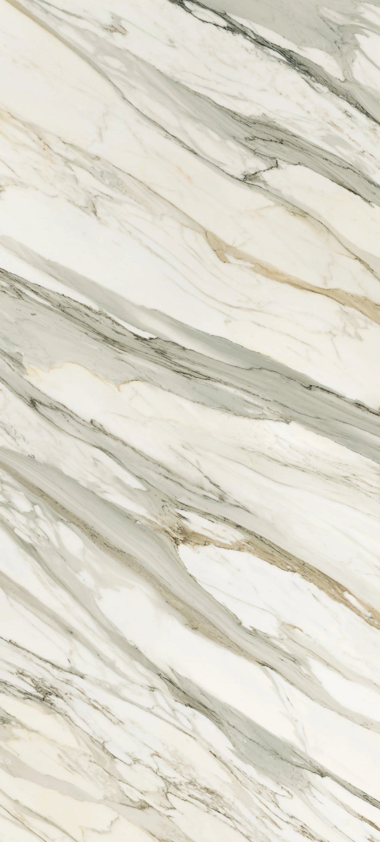 Jem 48 X 110 Matte Porcelain Tile in Aria Gold