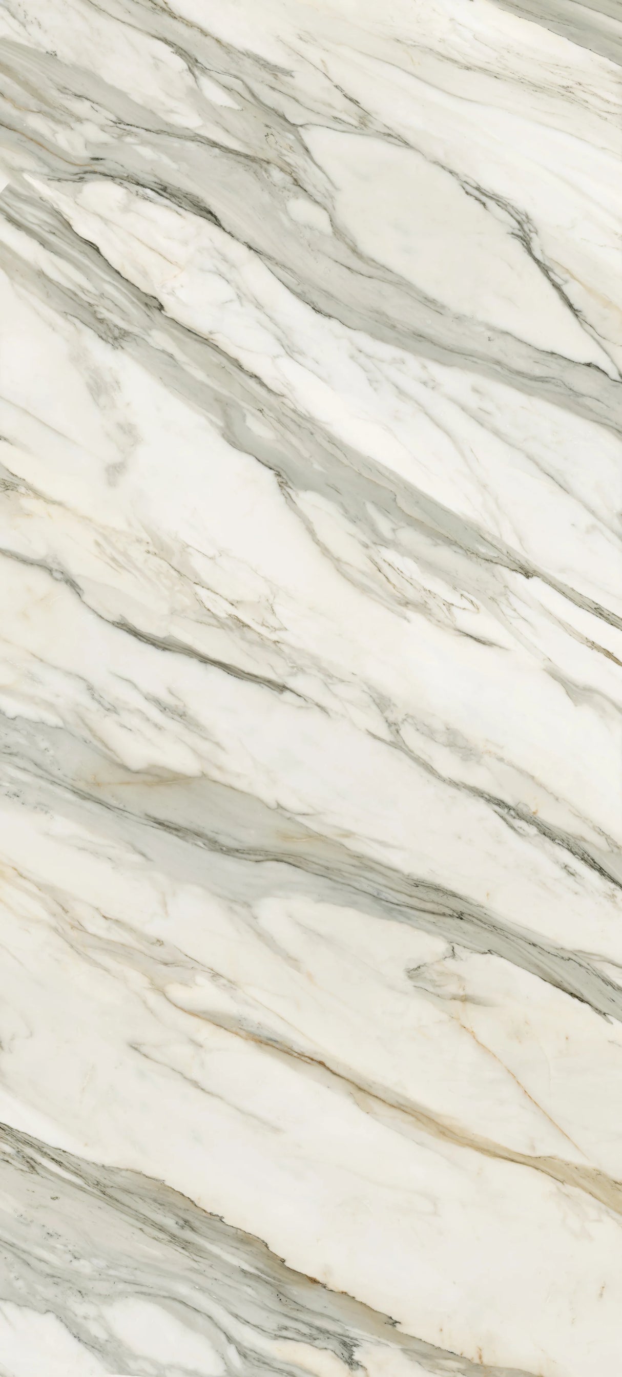 Jem 48 X 110 Polished Porcelain Tile in Aria Gold