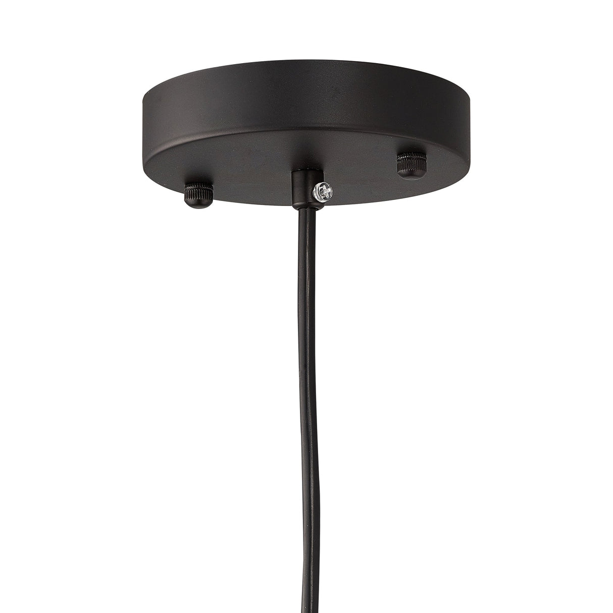 Karina Globe Glass Indoor & Outdoor Pendant Light – Amber