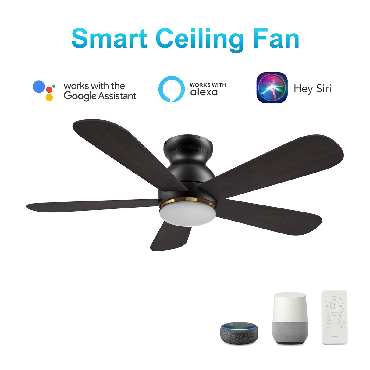 DUBOIS 48 In 5 Blade Smart Ceiling Fan With Integrated LED Lights With Google Home