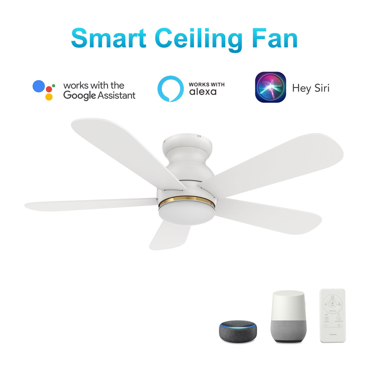 DUBOIS 48 In 5 Blade Smart Ceiling Fan With Integrated LED Lights With Google Home