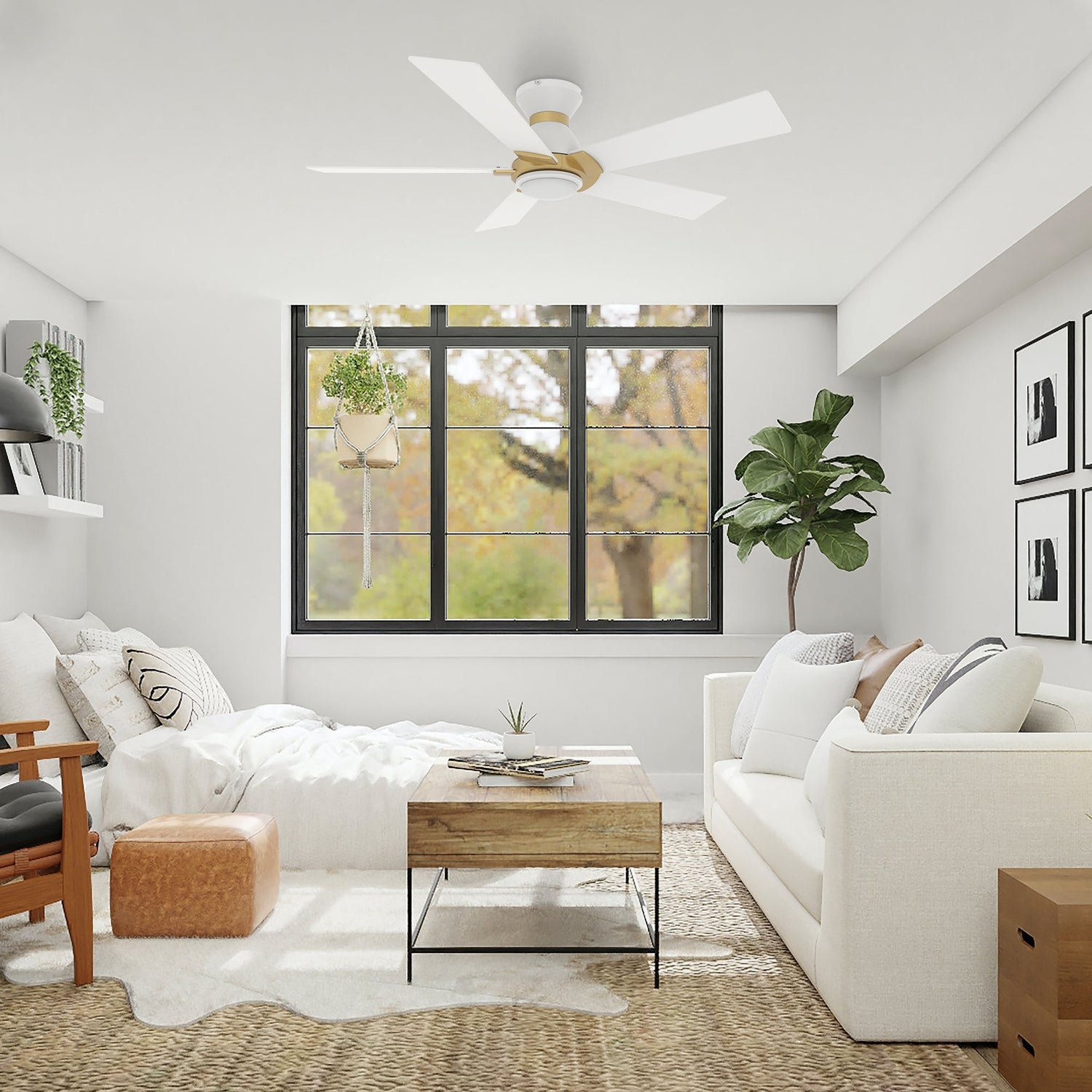 Ascender 52 Inch 5 Blade Flush Mount Smart Ceiling Fan With Led Light Remote Control Black Black Gold Rim