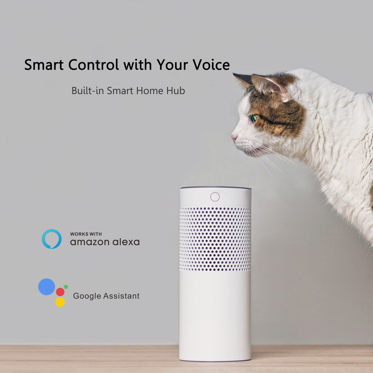 Pilot Smart Wall Switch For Ceiling Fans(1-Gang), Google Assistant, and Siri Shortcuts, Works with Amazon Alexa