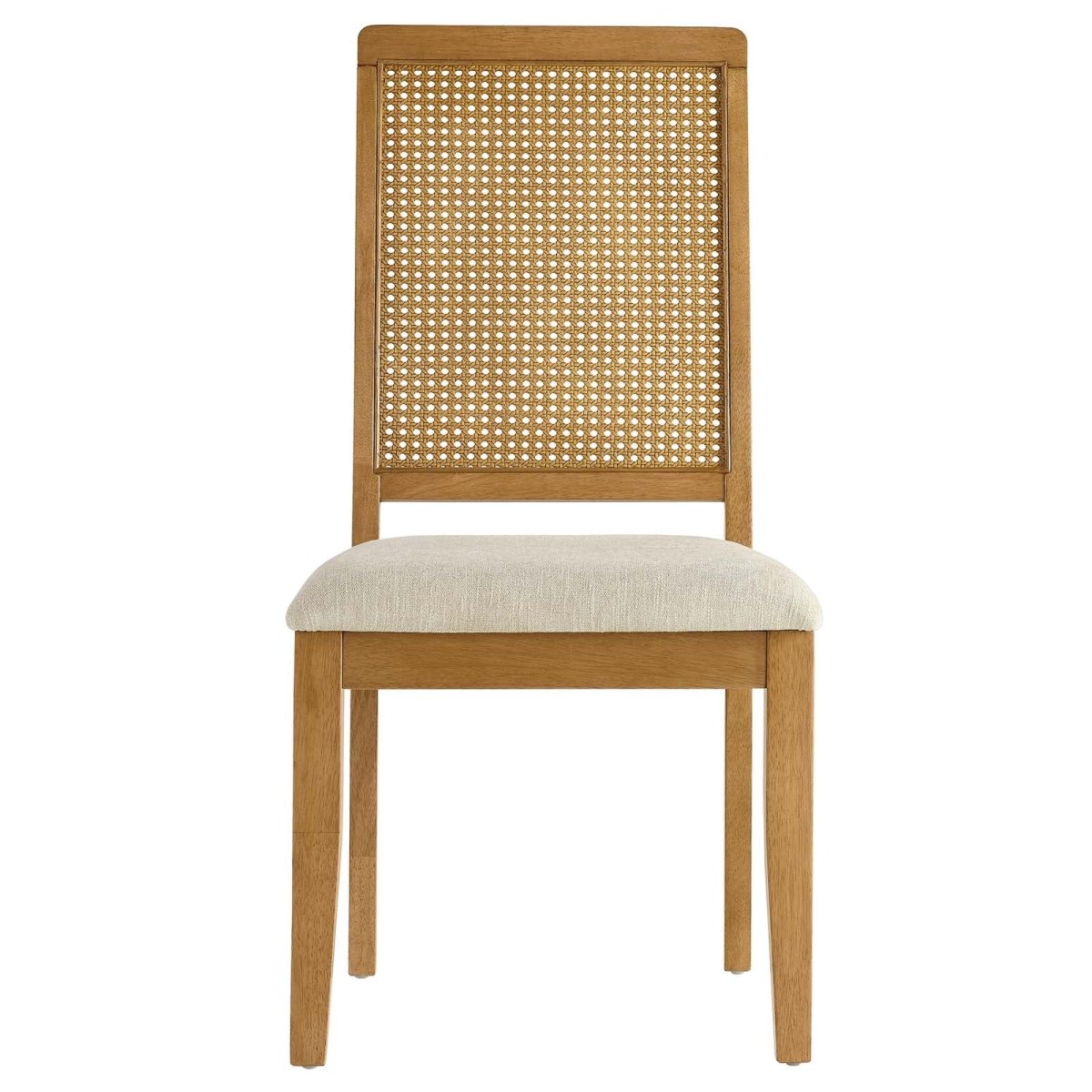 Arlo Faux Rattan and Wood Dining Side Chairs - Set of 2 - BUILDMYPLACE