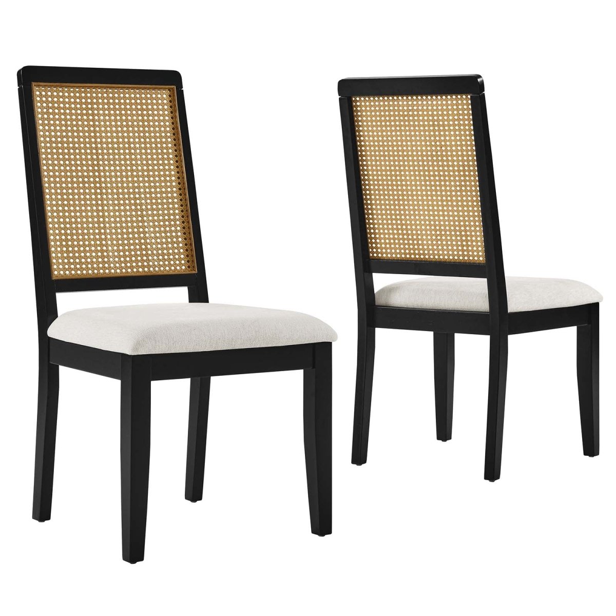 Arlo Faux Rattan and Wood Dining Side Chairs - Set of 2 - BUILDMYPLACE