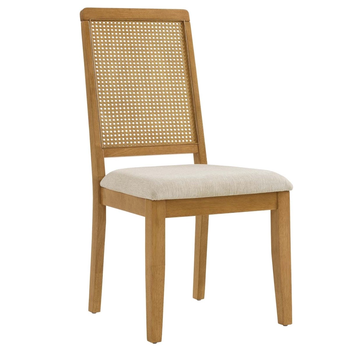 Arlo Faux Rattan and Wood Dining Side Chairs - Set of 2 - BUILDMYPLACE
