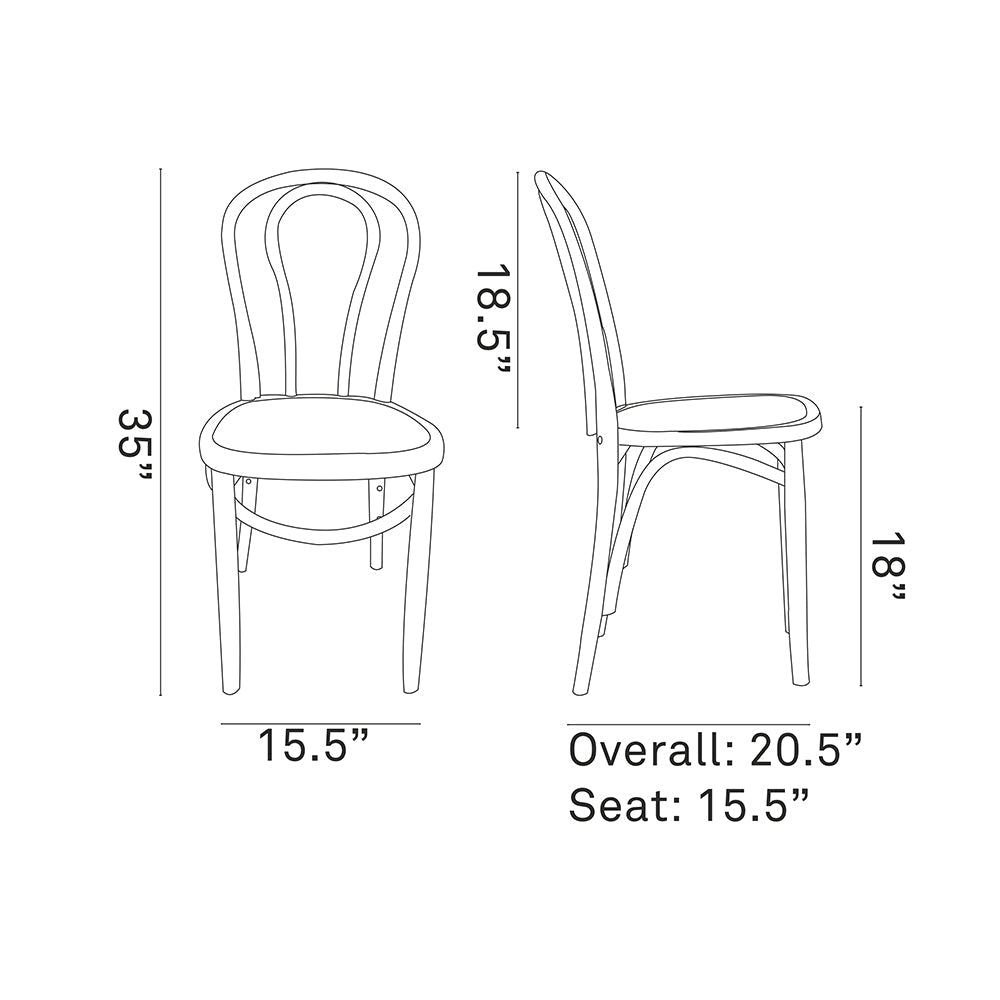 Contemporary Modern Eon Dining Side Chair - Modern Dining Room Chair Set - BUILDMYPLACE