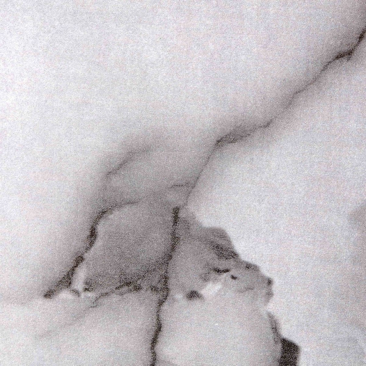 ELIRA 56 inch 5 - Blade Smart Ceiling Fan with LED Light & Remote - LEDMyPlace