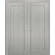 French Double Panel Doors with Hardware | Quadro 4111 Grey Ash | Panel Frame Trims | Bathroom Bedroom Interior Sturdy Door - BUILDMYPLACE